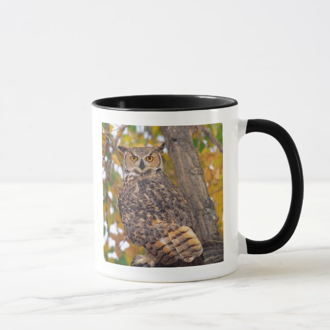 Ugglor Mugg (Höger)