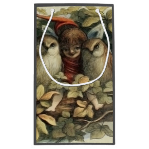 Ugglor och älva-féer Naturillustration