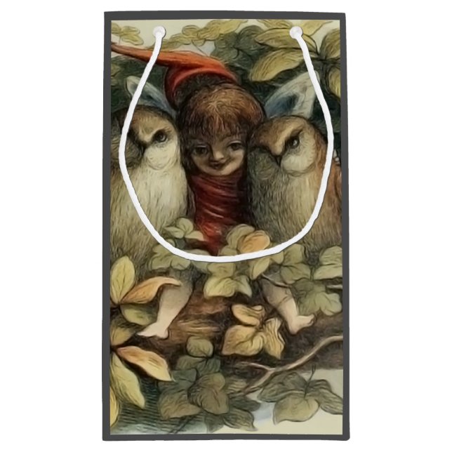 Ugglor och älva-féer Naturillustration (Baksidan)