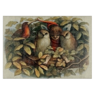 Ugglor och älva-féer Naturillustration