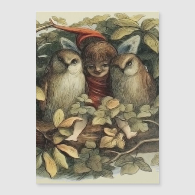 Ugglor och älva-féer Naturillustration (Framsida)