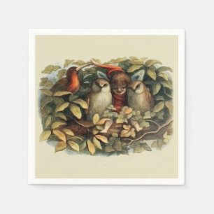Ugglor och älva-féer Naturillustration Pappersservett
