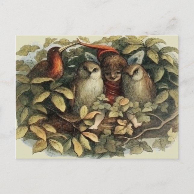 Ugglor och älva-féer Naturillustration Vykort (Framsida)