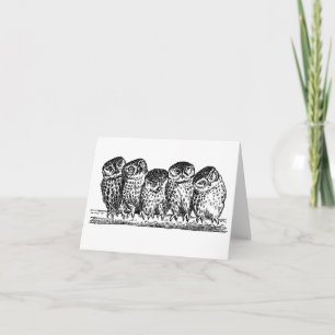 UGGLOR PÅ GREN NOTECARD KORT