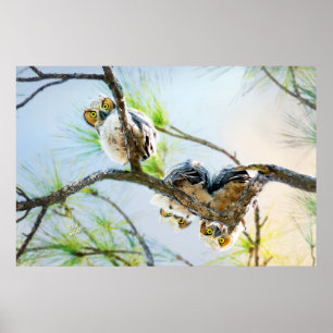 Ugglor Wildlife Photography Underbar Horned Baby U Poster