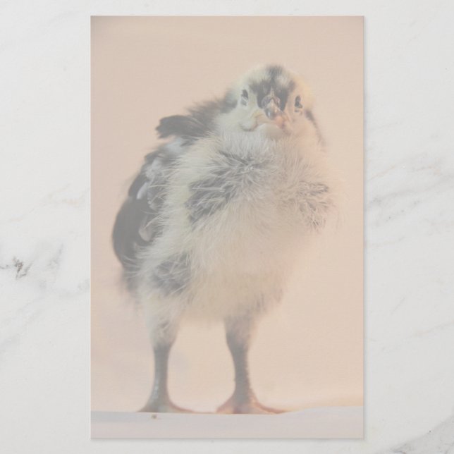 Ugig Chick Brevpapper (Framsida)