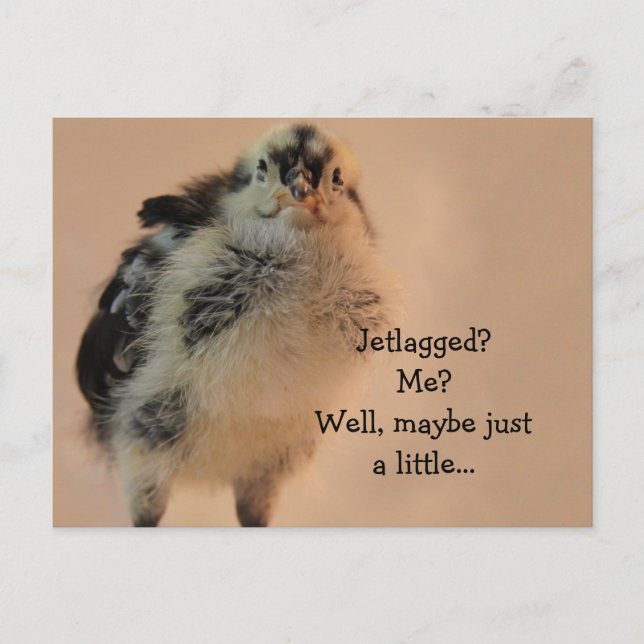 Ugig Chick Vykort (Framsida)