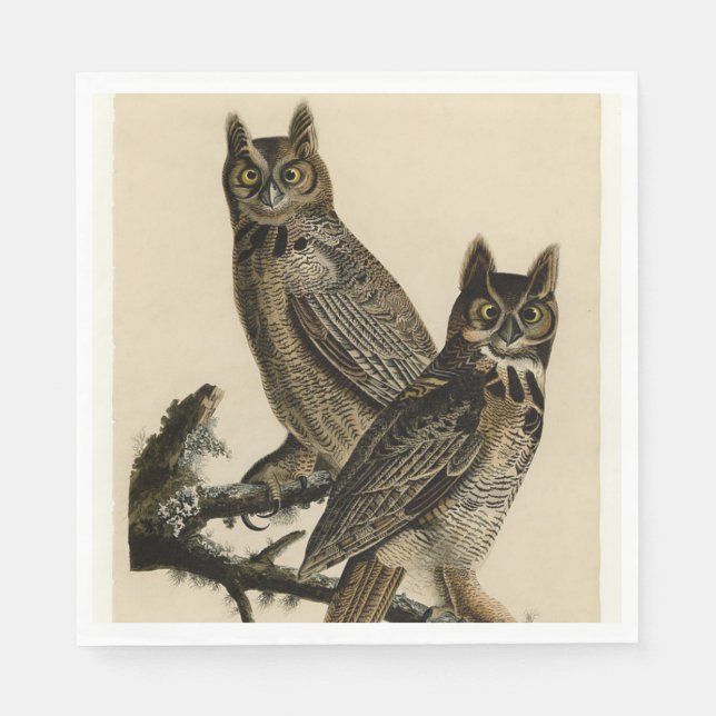 Uglor med örontofsar (av John James Audubon) Pappersservett (Framsidan)