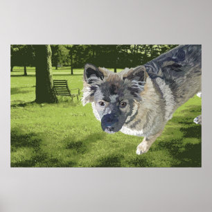 Ugly mutt poster