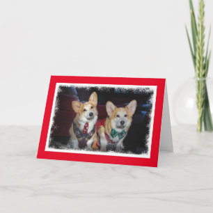 Ugly Sweater Corgi julkort Helgkort