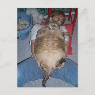 Ugly Tjock Cat Vykort