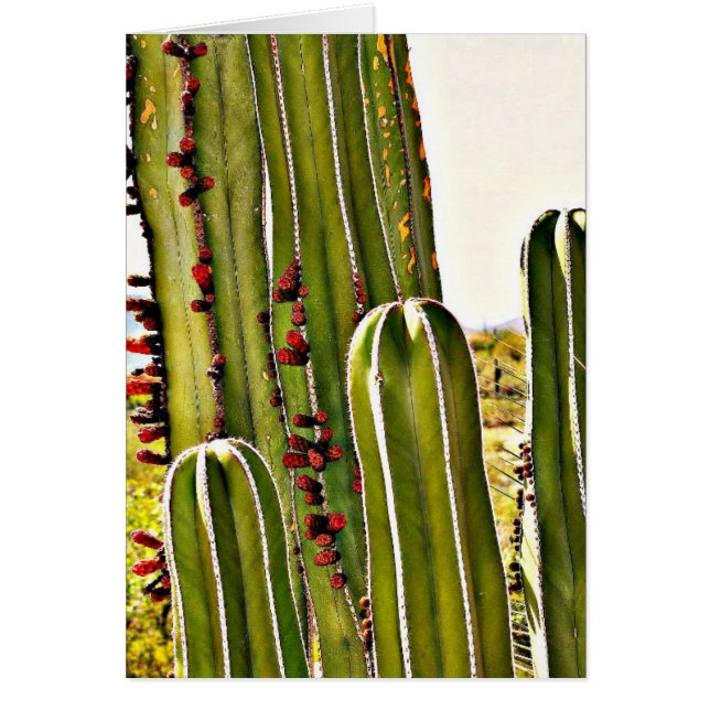 Ugnen leda i rör i blom OBS kort (Framsidan)