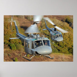 UH--1HIroquois Poster