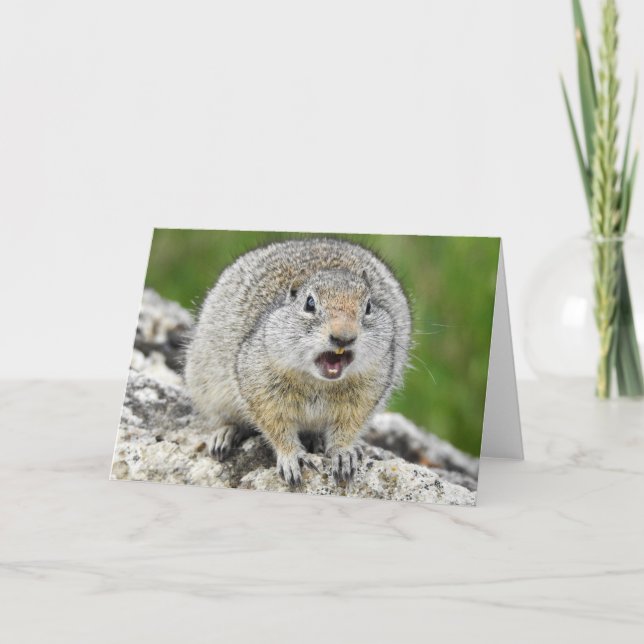 Uinta Ground Squirrel Notecard Kort (Framsida)