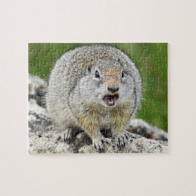 Uinta Ground Squirrel Puzzle Pussel (Horisontell)