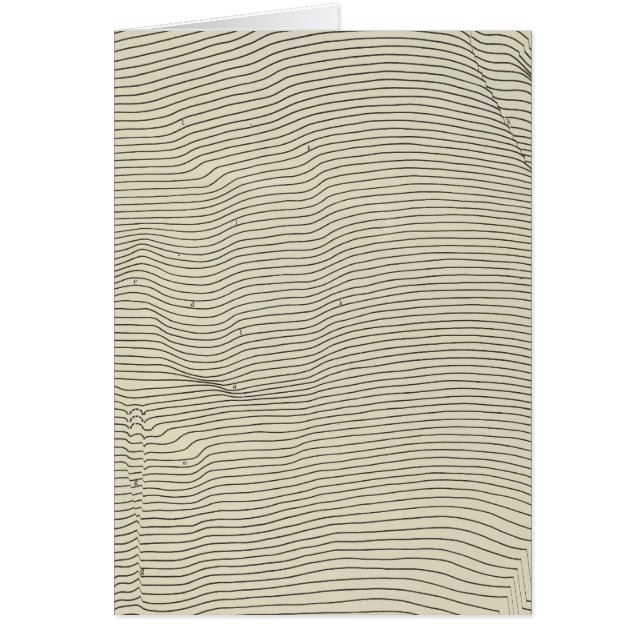 Uinta Mountains Stereogram Hälsningskort (Framsidan)