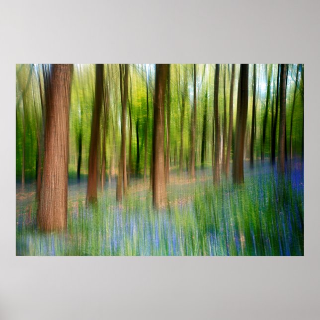 UK England | Bluebell Oak Woodland i Springtime Poster (Framsidan)