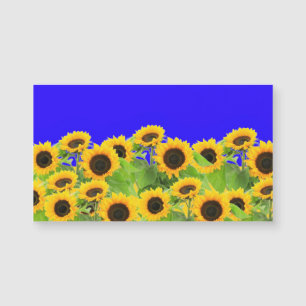 Ukraina Flagga Färg Sunblommor Magnet