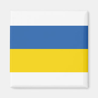 UKRAINA-FLAGGA MAGNET