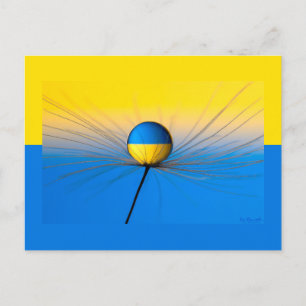 Ukraina Flagga of Hope Vykort