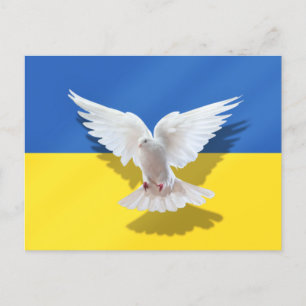 Ukraina Flagga Postkort Fredsduva Stöd Frihet Vykort