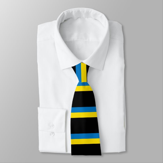 Ukraina flagga slips (Bunden)