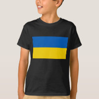 Ukraina Flagga