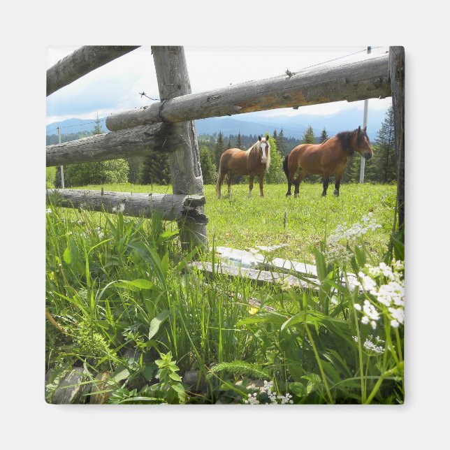 Ukraina: i Karpaterna Magnet (Framsidan)