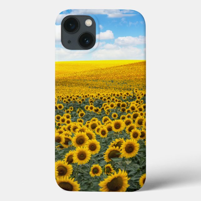 UKRAINA IPHONE 13 FODRAL  (Baksida)