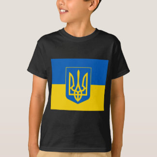 UKRAINA Jackar om Arm och Flagga T Shirt