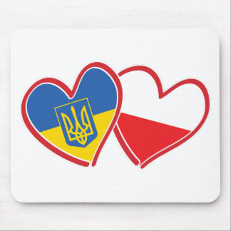 Ukraina-Polen-Flagga Musmatta