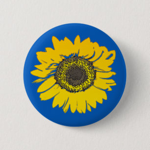 Ukraina Solros Knapp