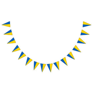 Ukraina, Ukraina Vimplar