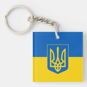 Ukrainas flagga med jackande av arm
