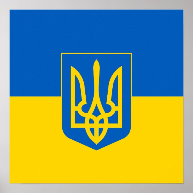 Ukrainas flagga med jackande av arm poster (Framsidan)