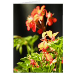 Ukrainska blommor hälsningskort