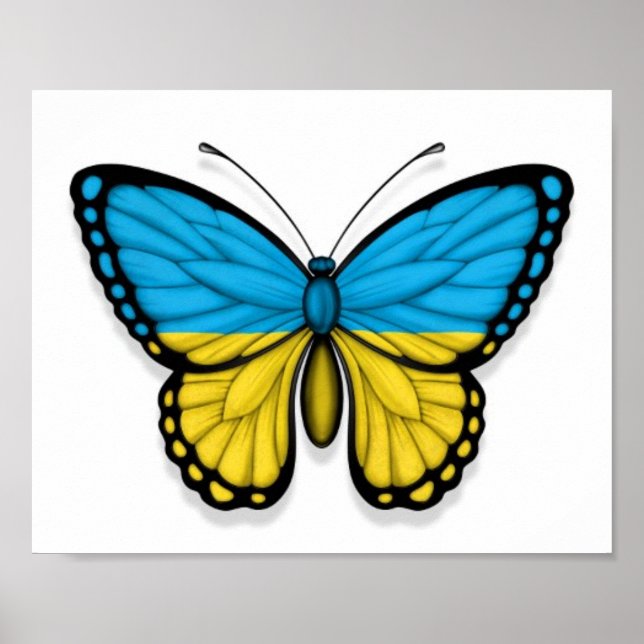 Ukrainska Butterfly Flagga Poster (Framsidan)