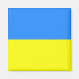 Ukrainukrainska Flagga Magnet