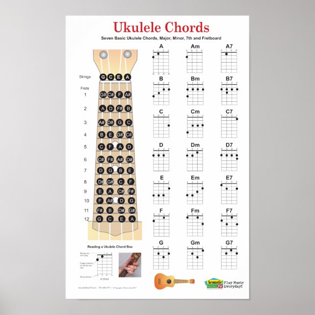 Ukulele Chords Finger Chart och Fretboard Poster (Framsidan)