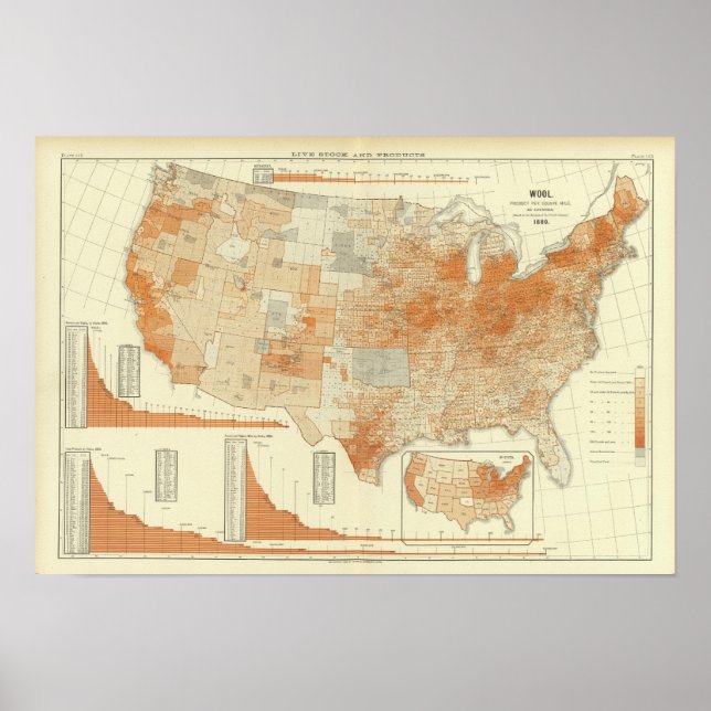 Ull Poster (Framsidan)