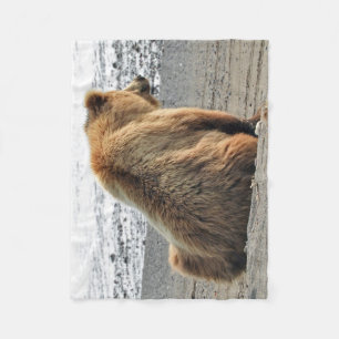 Ullfilt med grizzlybjörnen fleecefilt