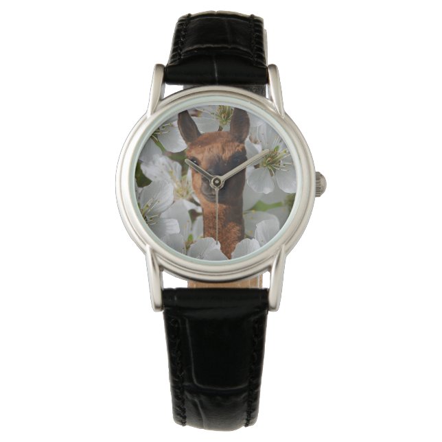 Ullig Brun Ung Lama, Armbandsur (Framsida)