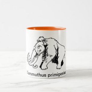 Ullig kolossal mugg (det vetenskapliga namn)