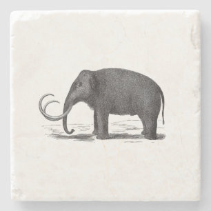 Ullig kolossal Pre-Historisk elefant Underlägg Sten