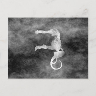 ullig mammografi vykort