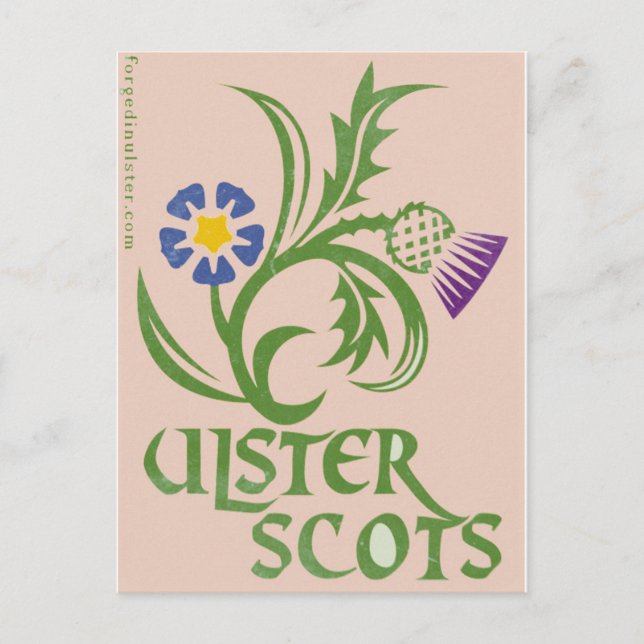Ulster-Scots lin- och thistledesign. Vykort (Framsida)