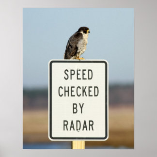 Ultimate Irony Poster