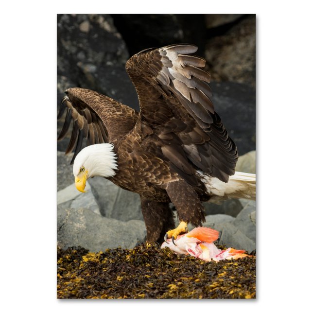 Ultimate Örn Bordsnummer (Framsidan)