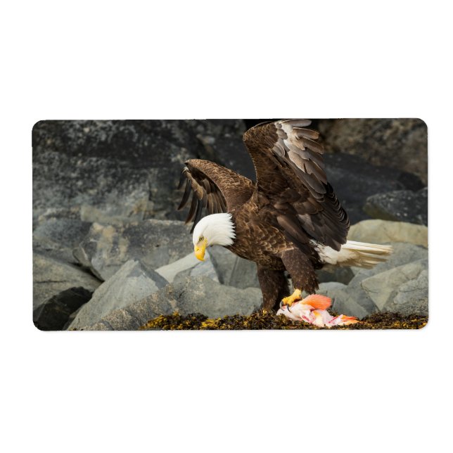 Ultimate Örn Fraktsedel (Framsidan)