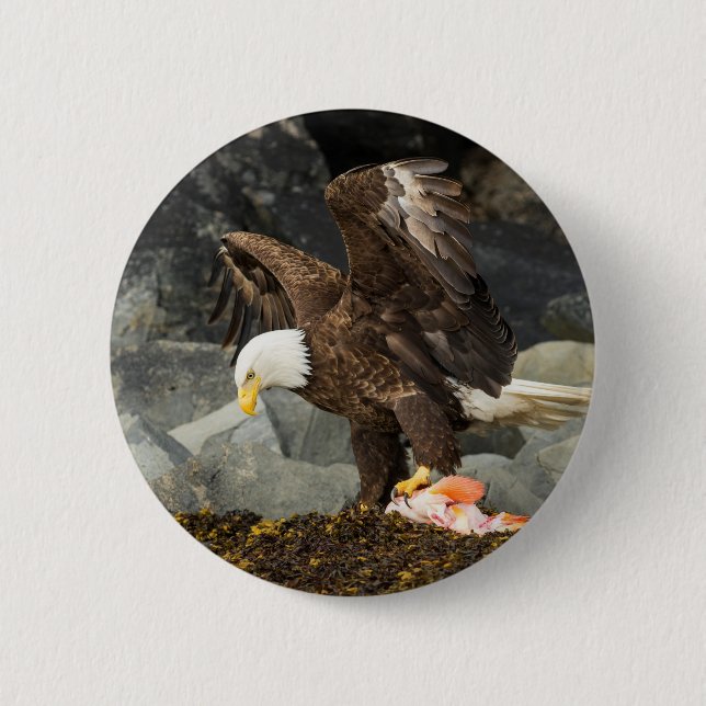 Ultimate Örn Knapp (Framsida)
